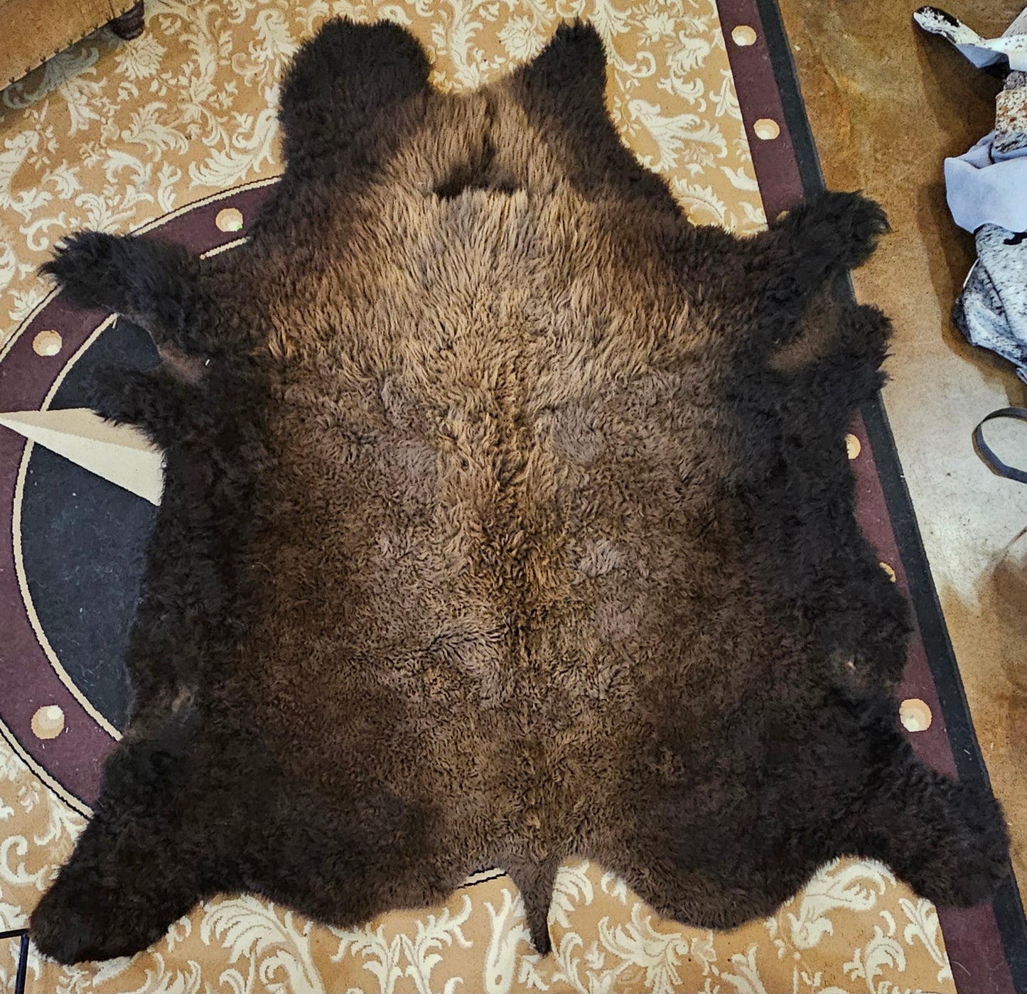 Buffalo Hide #1
