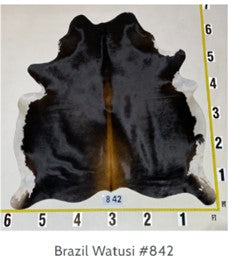 COWHIDE # 842 Watusi