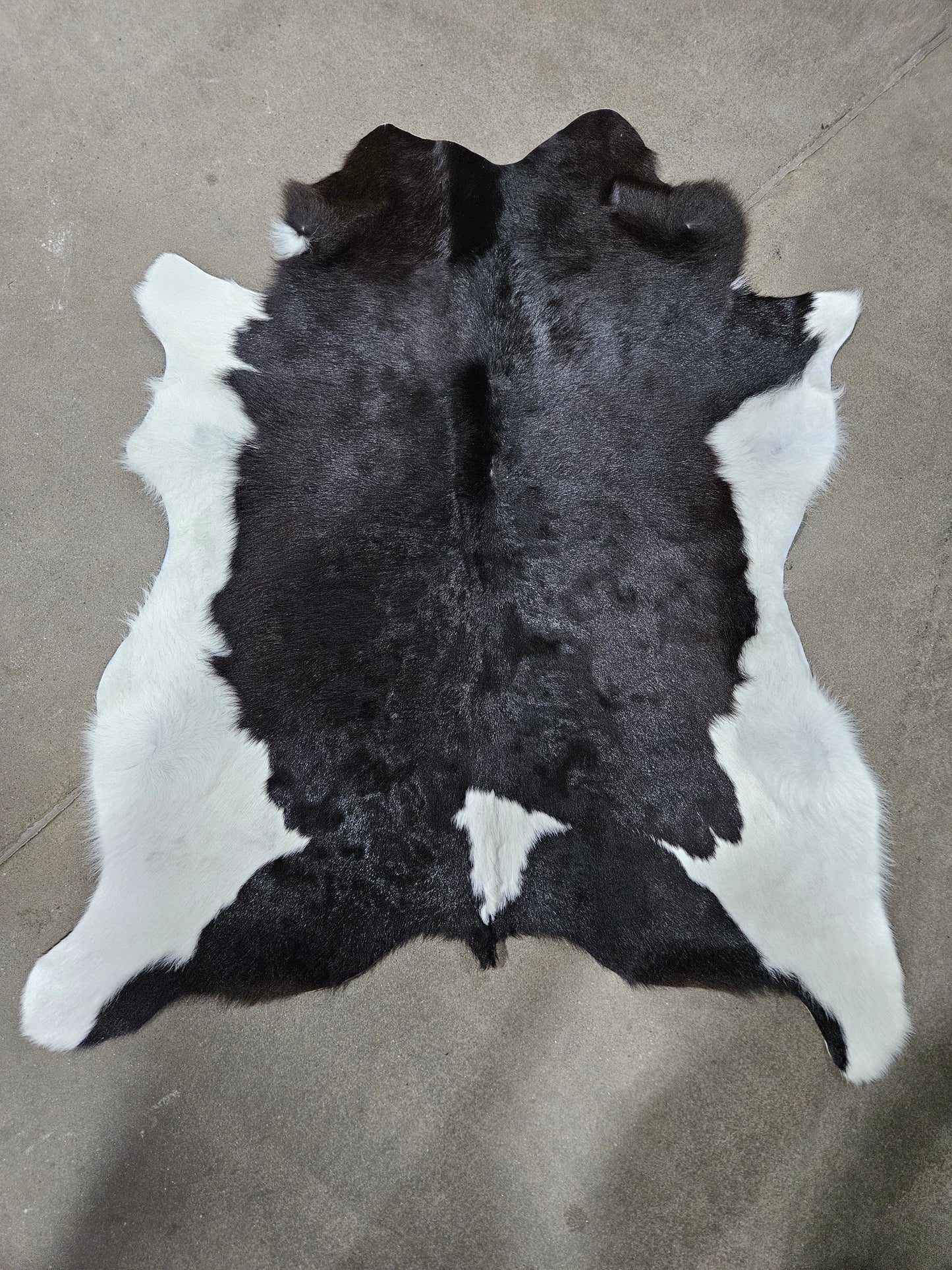 Calf hide #524 C1
