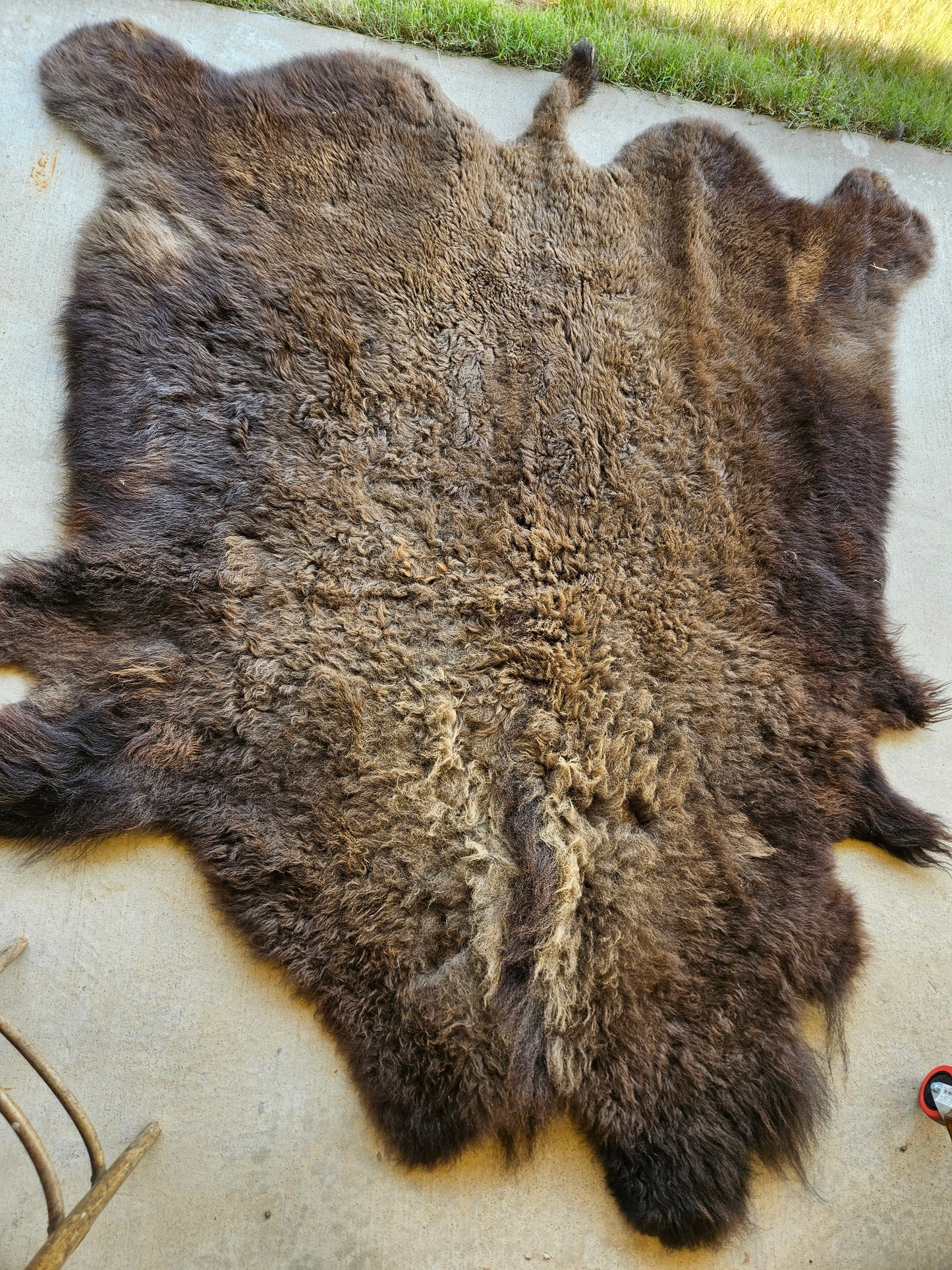 Buffalo hide #3