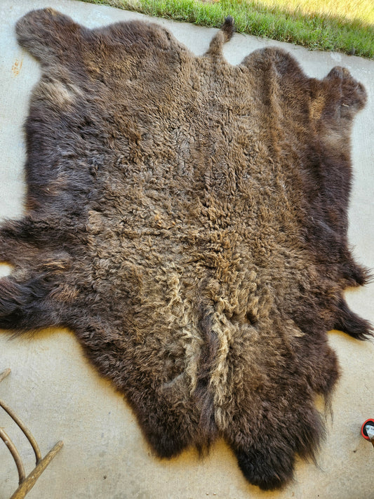 Buffalo hide #3