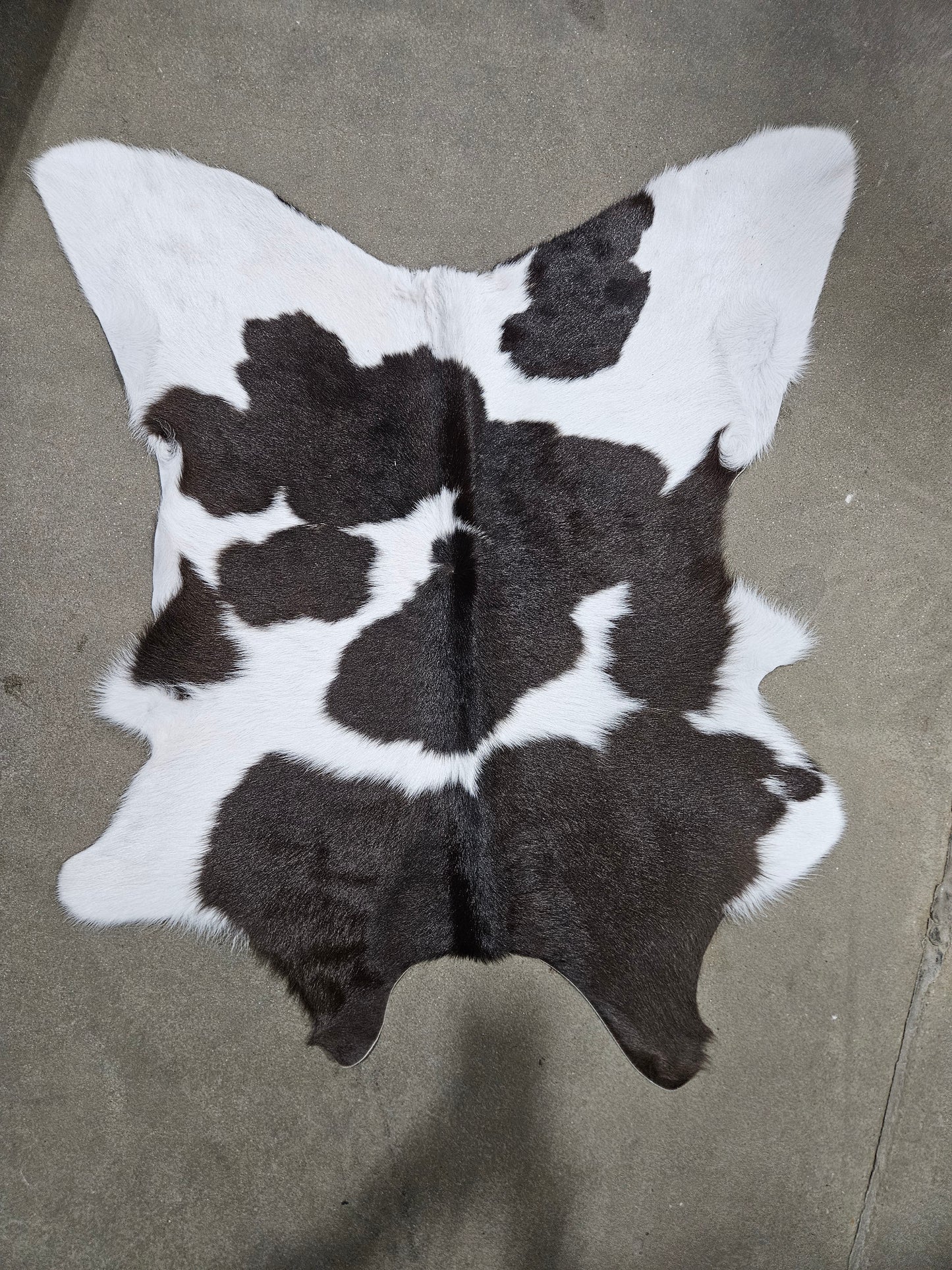 Calf hide #1