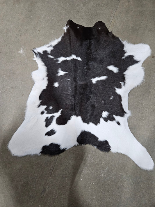 Calf hide #2
